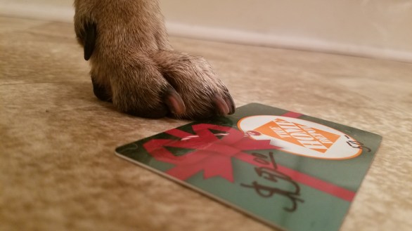 Dog Nail with Credit Card